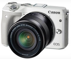Canon has been slower to embrace mirrorless interchangeable camera technology than consumers. 
